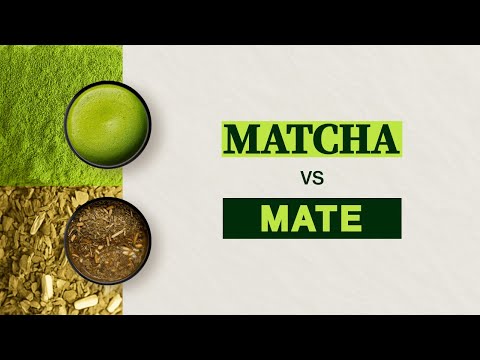 Yerba Mate vs Matcha - Health Benefits, Caffeine, Preparation and Flavor of Matcha vs Mate
