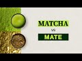 Matcha Atau Mate Mana Yang Sebaiknya Anda Minum