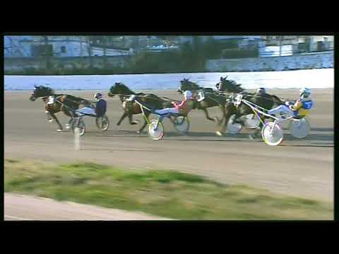 Trotto 21/02/2020 - 4ª corsa