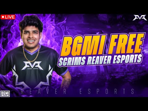 Daily Pro Scrims — Competitive Squad Shootouts