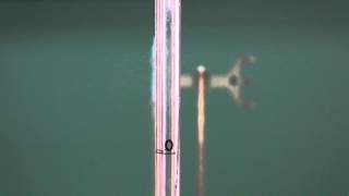 TRU Chemistry Labs: How To Use Mohr Pipets