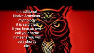 'Waiting For The Owl To Call My Name' | AUTUMN DAWN LEADER