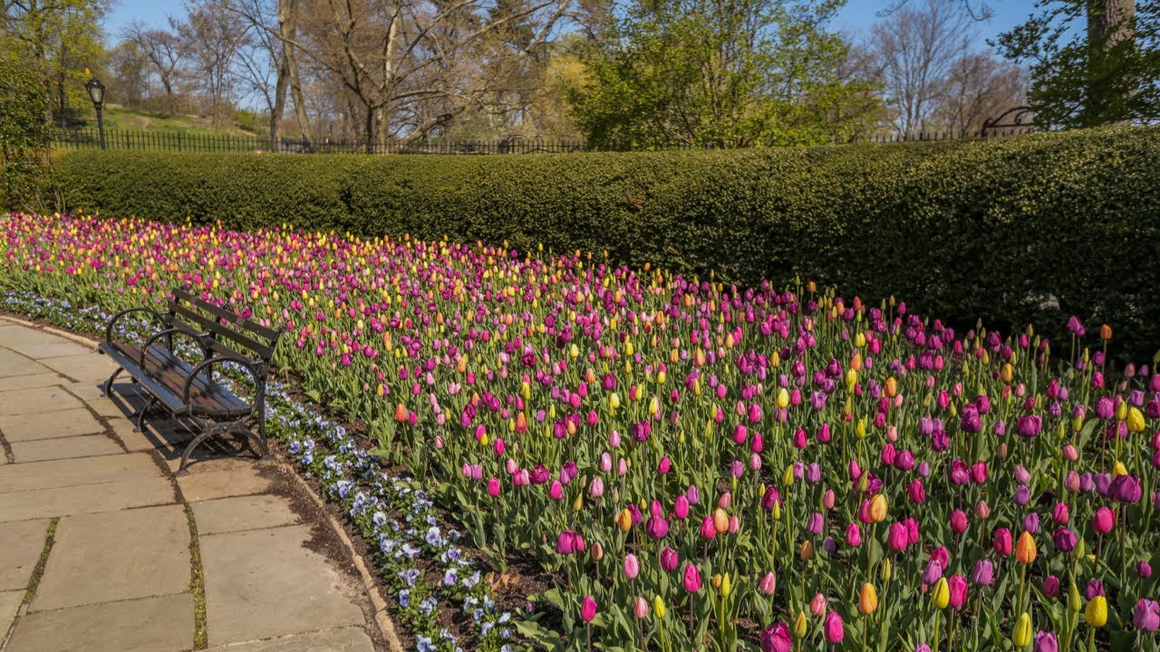 Conservatory Garden Stroll