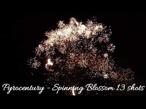 Pyrocentury - Spinning Blossom 13 shots
