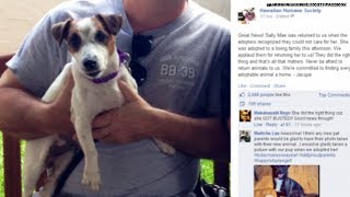 Lady adopts dog... just to sell it on Craigslist