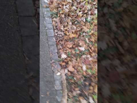 Bin in kake getreten