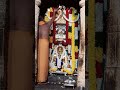 Today Mangalarathi To Sri Raghavendra Swamy Moola Brindavana By H H Sri Subudendra Teertha Swamiji
