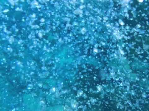 Tejaswi Pradeep Reef Video
