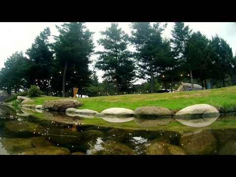 BlackVue Sport Video