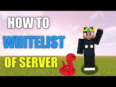 Exclusive Tips for Minecraft Server Whitelist | In Hindi!