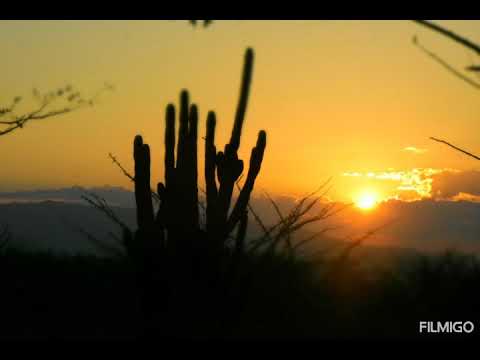 Marimba Orquesta Ecos del Pacífico - La Unión Zacapa