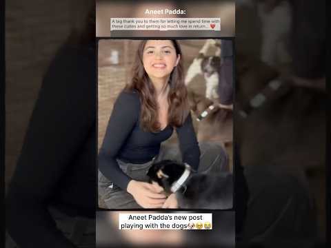 Aneet Padda New Video Playing with the Dogs🥹😭 #saiyaara #ahaanpanday #aneetpadda #viralvideo