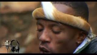 Download lagu AMASHAYINA AMAHLE - UNGITHETHISA AMACALA mp3 Download lagu AMASHAYINA AMAHLE - UNGITHETHISA AMACALA mp3