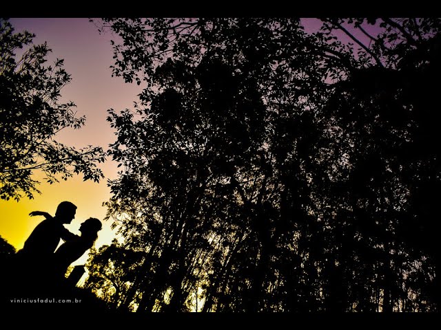 filme do mini-wedding emocionante