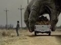 Two Giant Gorilla plays the car