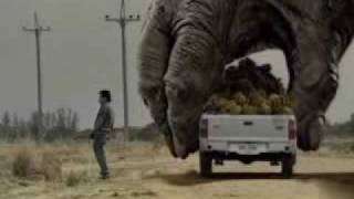 Download lagu Two Giant Gorilla plays the car... mp3