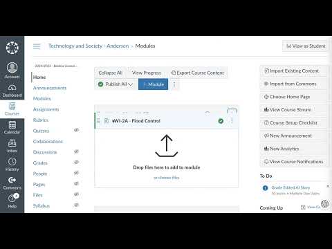Canvas Ux Module Issue And Bugs