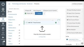 Canvas UX Module Issue and Bugs