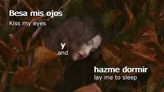 AFI &quot;Kiss my Eyes and Lay me to Sleep&quot; (sub español + lyrics)