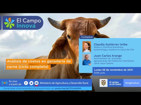 #ElCampoInnova - Análisis de costos en ganadería de carne (ciclo completo)