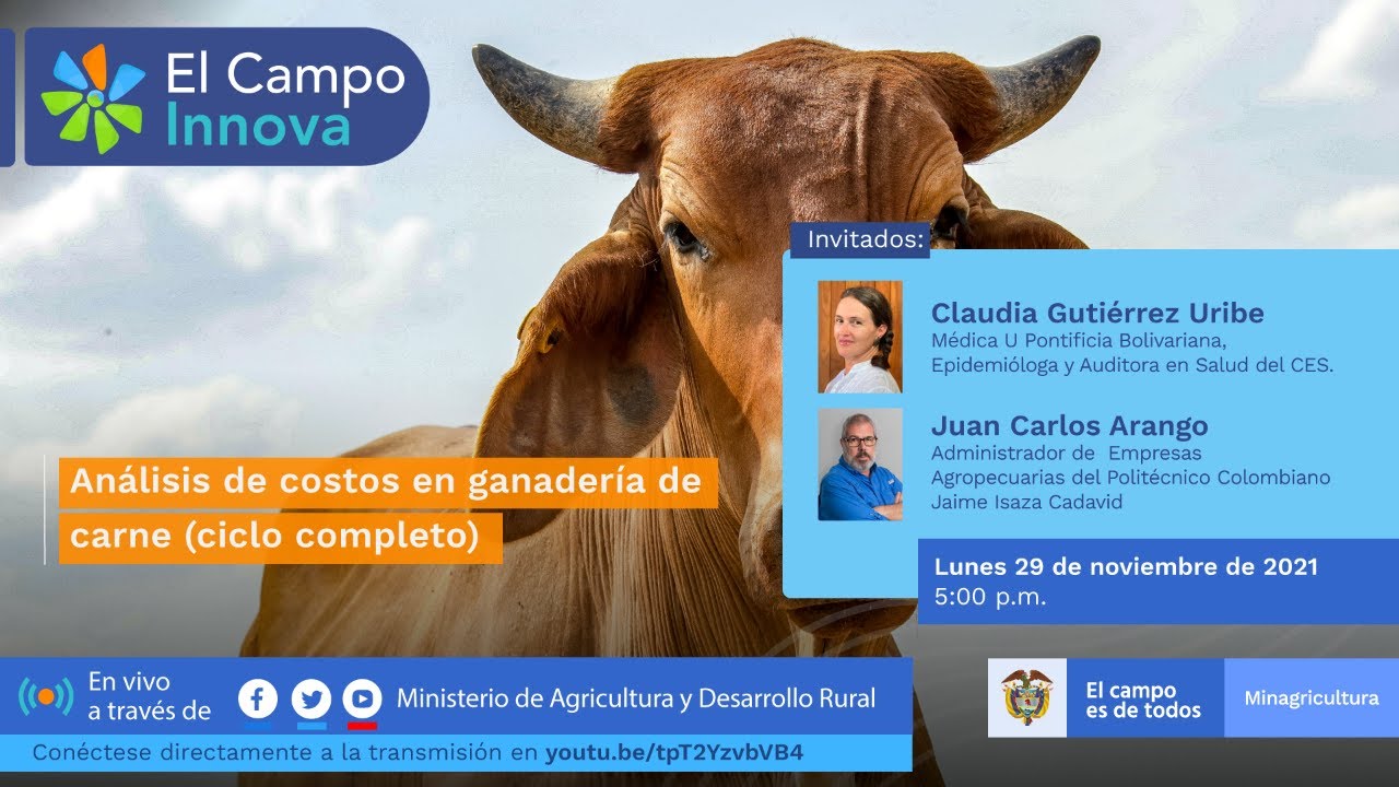 #ElCampoInnova - Análisis de costos en ganadería de carne (ciclo completo)