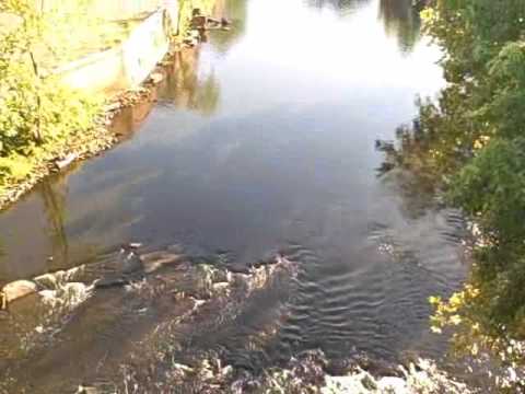 Bernon Mills Estates Condos For Sale $165k-$299k (Boston Area Condo)