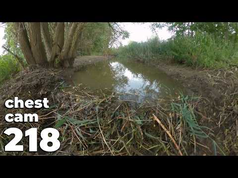 Work From Start To Finish - Manual Beaver Dam Removal No.218 - Chest Cam