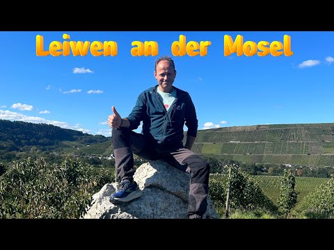 Through the vineyards near Leiwen on the Moselle