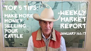 Top 5 Tips: Make MORE $$ Selling Cattle + Weekly Market Report (1.18.23)