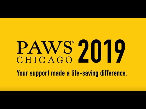 Pawschicago Org