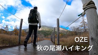 尾瀬／秋のハイキング／紅葉は？