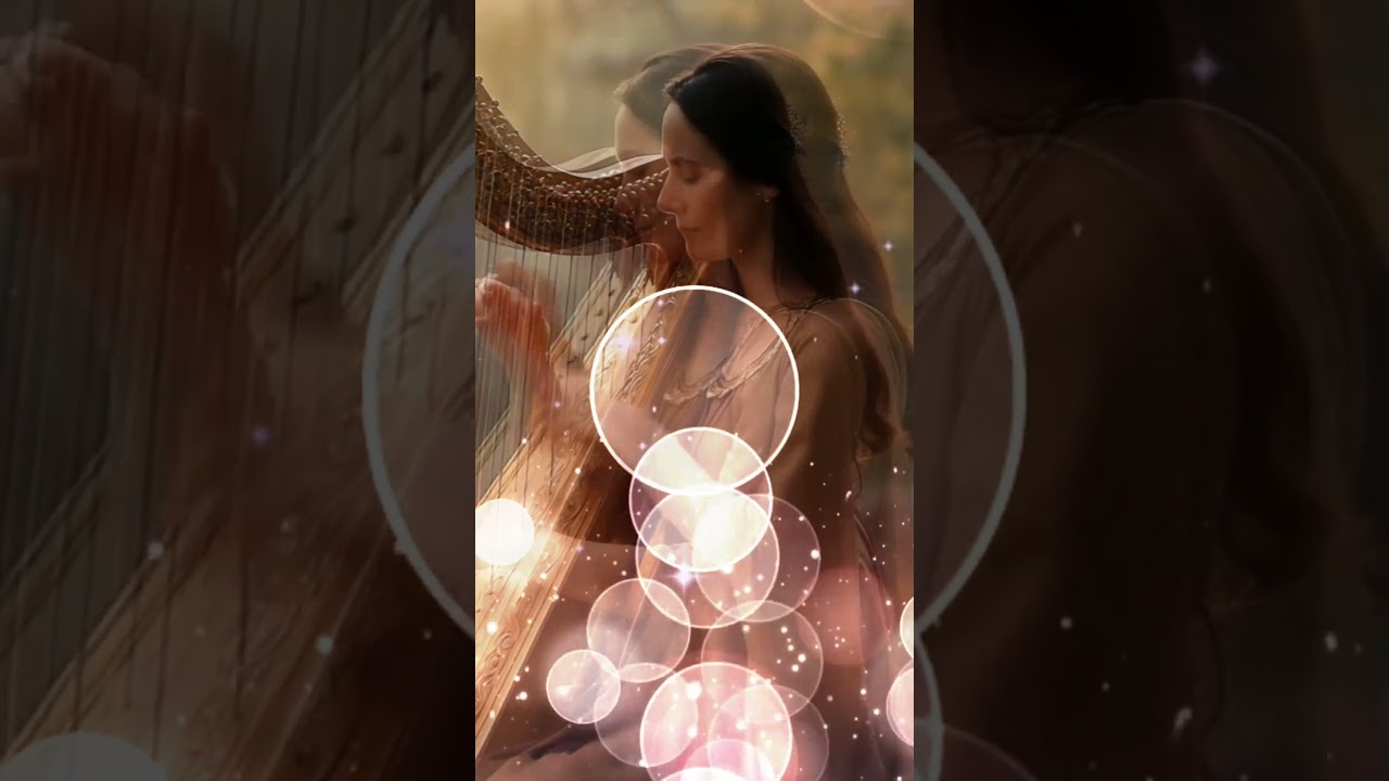 明日13:00公開｜森へ 予告 #Shorts