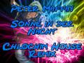 Peter Maffay Sonne In Der Nacht Chlochim House Remix 2012 HQ Sound