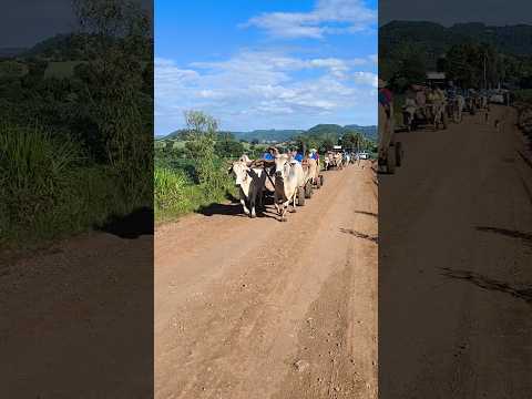 Desfile temático no interior do RS