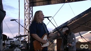 Gov&#39;t Mule - Blind Man in the Dark Live at Lockn&#39; Festival 2015