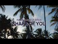 Ed Sheeran Shape Of You Bossa Nova Cover ️ Summer Songs