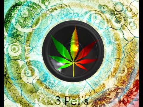 Thomas Newson & John Dish - Kalavela