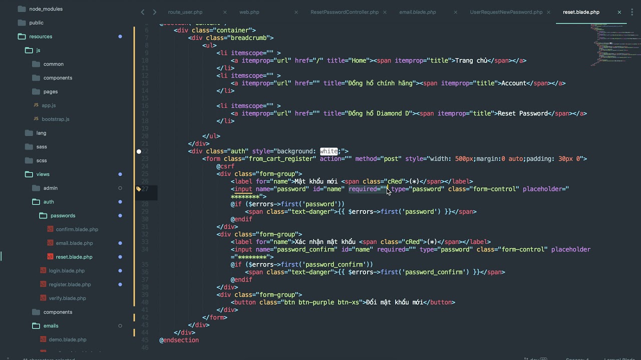 [Seri] - Website đồng hồ - Reset Password - Validate mật khẩu P4