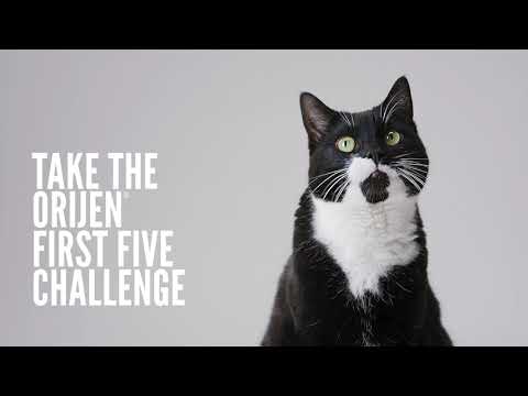 Take the ORIJEN first five challenge - Cat owners