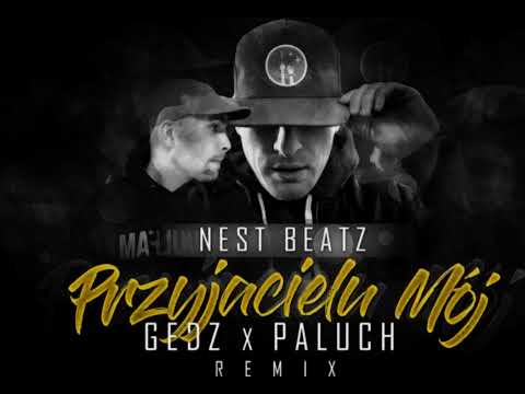 Paluch x Gedz - Mój Przyjacielu (NEST BEATZ Remix)