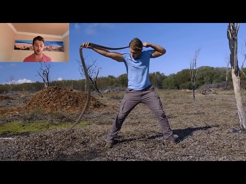 Black Mamba Vs Human! Freehandle Breakdown.