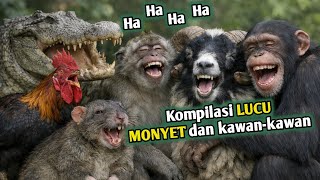 Download lagu Kompilasi lucu‼️Monyet dan kawan-kawan😂#shortsfeed #funny #comedy #animals #video #kompilasilucu  mp3