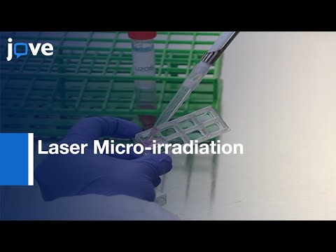 DNA Lesions Protein binding Investigation by Laser Micro-irradiation | Protocol Preview