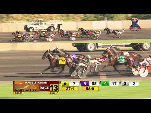 92nd  Hambletonian August 2018 - Perfect Spirit
