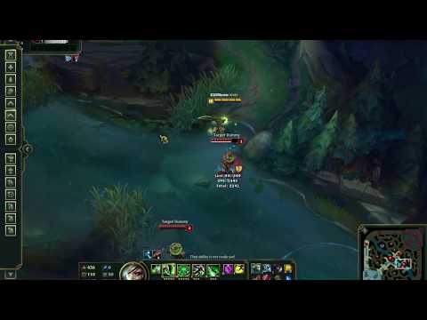 Tanky vs Bruiser Riven Damage Comparison