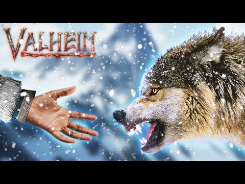 Taming A Wolf So I Won't Be Lonely Anymore