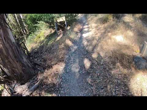 SLO Cal Poly "The Eucs" Bike Park - Flying Ewok Trail