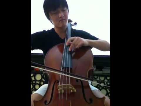 My heart will go on (Cello)