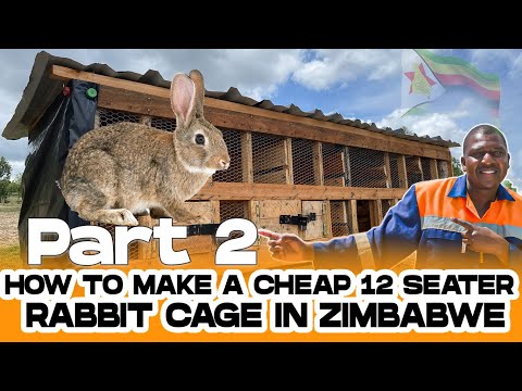 EP 8 : How To Make a 12 Seater Rabbit Cage in Zimbabwe Vlog 2