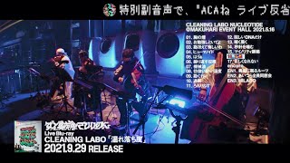 ずっと真夜中でいいのに。『LIVE Blu-ray CLEANING LABO「温れ落ち度」』 Trailer (ZUTOMAYO - CLEANING LABO NUCLEOTIDE)
